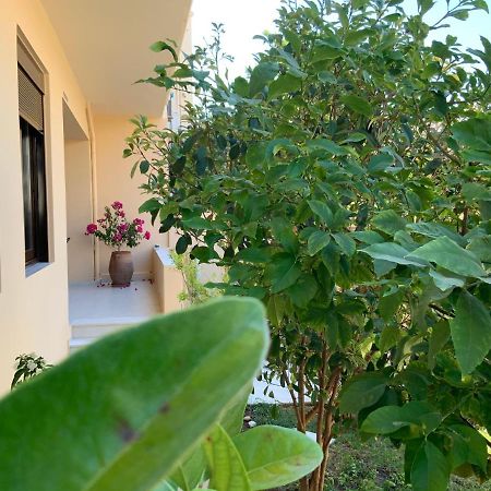 Antonis Chania City Family House エクステリア 写真